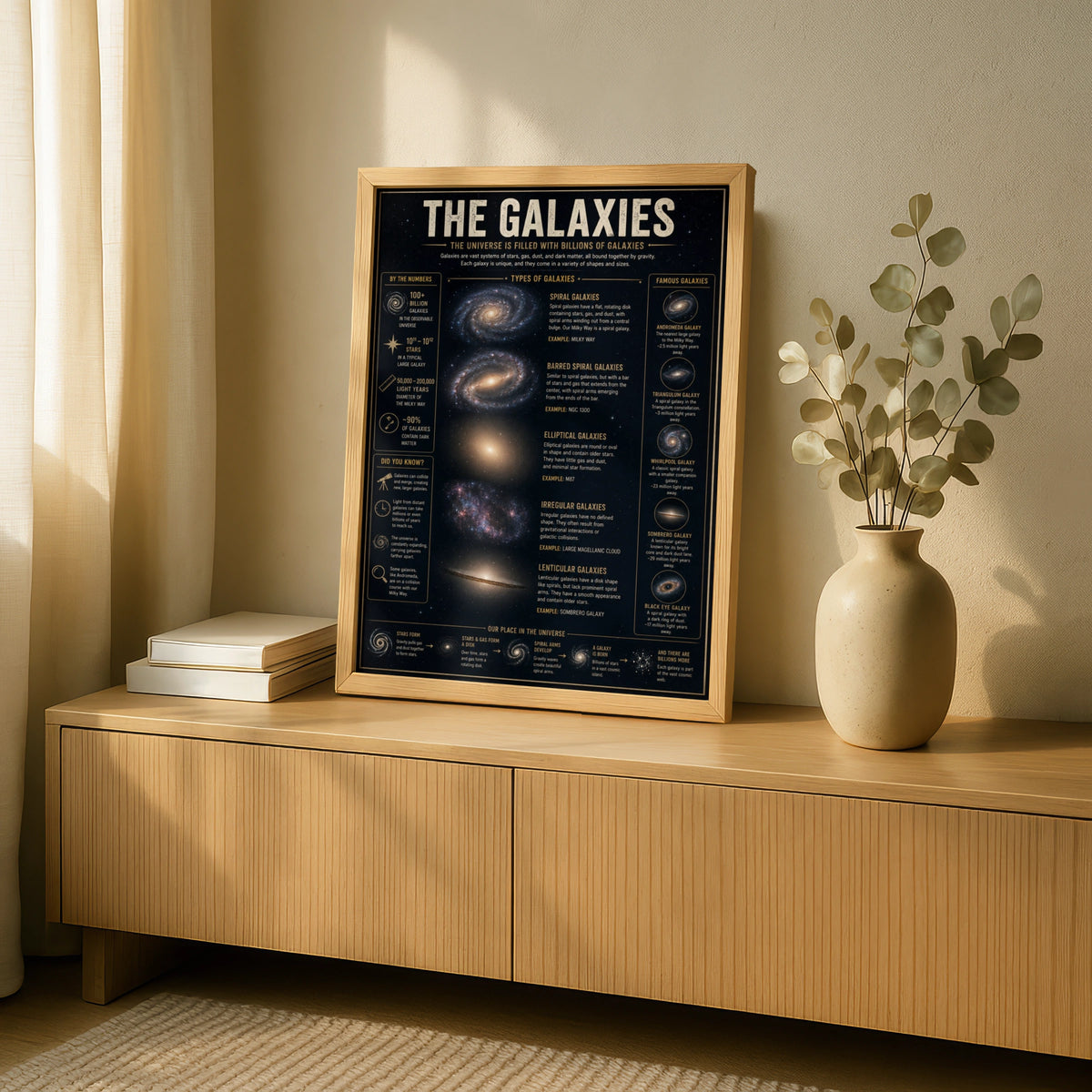 Galaxy Types Infographic Poster, Space Science Wall Art, Astronomy Print for Home