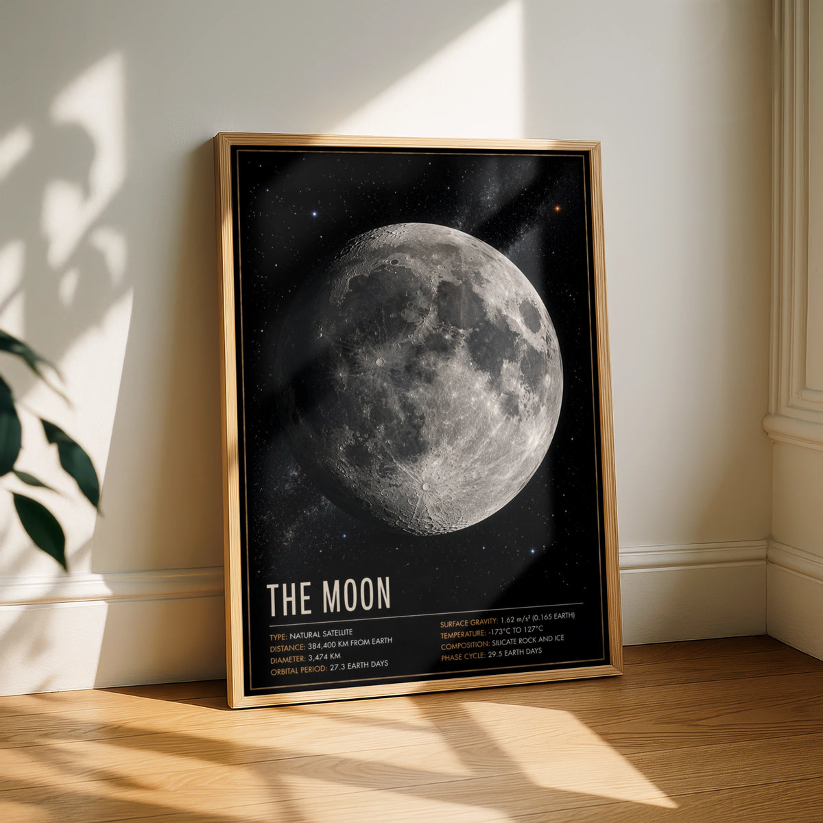 Moon Poster, Space Facts Wall Art, Astronomy Print, Solar System Decor