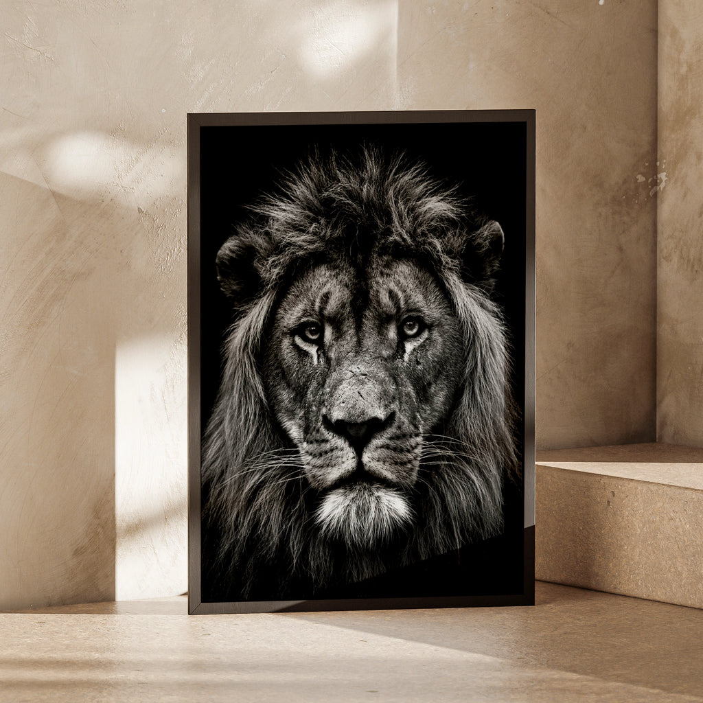 Black and White Lion Portrait Poster, Male Lion Wall Art, Safari Wildlife Print