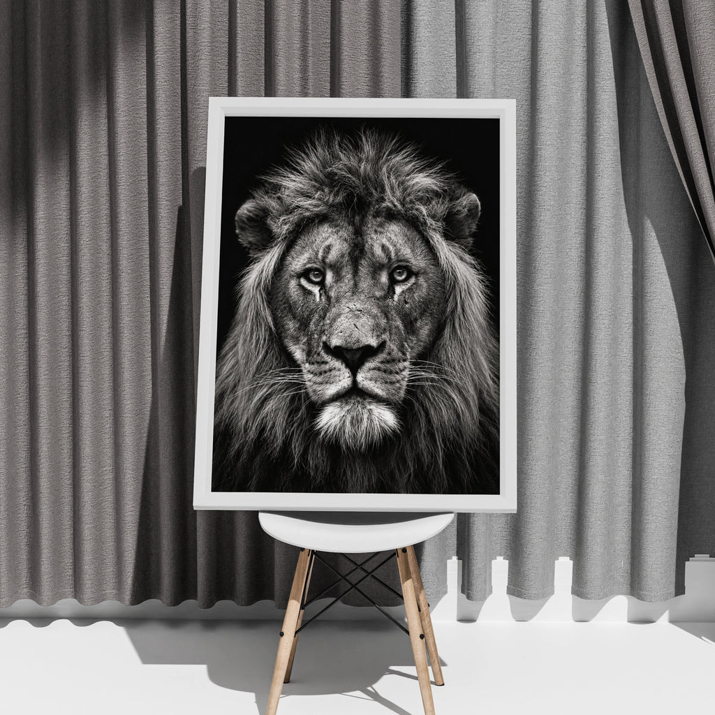 Black and White Lion Portrait Poster, Male Lion Wall Art, Safari Wildlife Print